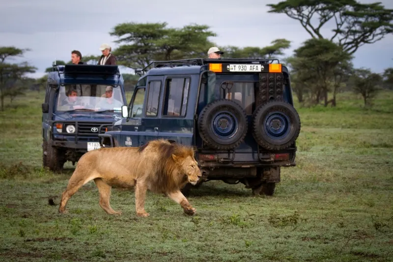 Serengeti National Park